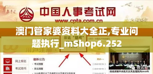 澳门管家婆资料大全正,专业问题执行_mShop6.252