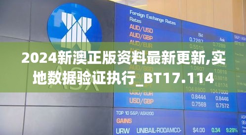 2024新澳正版资料最新更新,实地数据验证执行_BT17.114