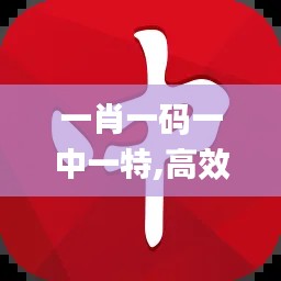 一肖一码一中一特,高效策略实施_SP2.843