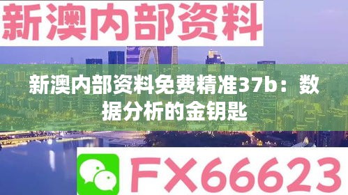 新澳内部资料免费精准37b：数据分析的金钥匙