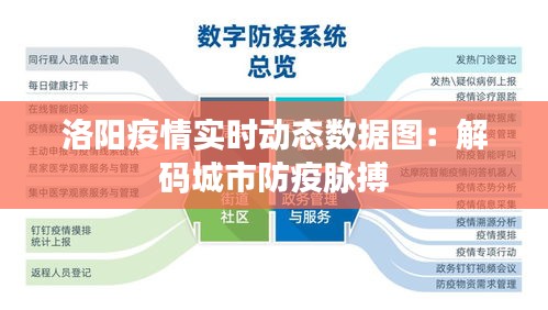 洛阳疫情实时动态数据图：解码城市防疫脉搏