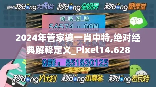 2024年管家婆一肖中特,绝对经典解释定义_Pixel14.628