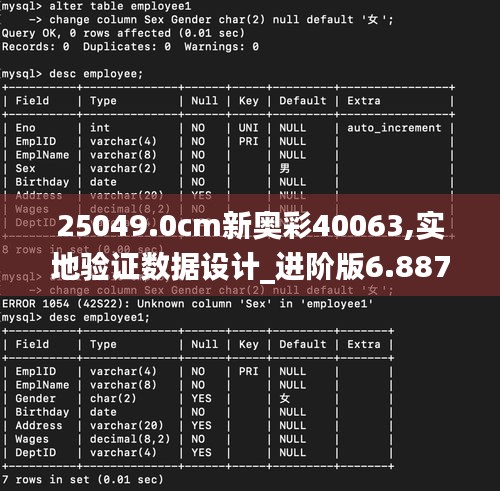 25049.0cm新奥彩40063,实地验证数据设计_进阶版6.887