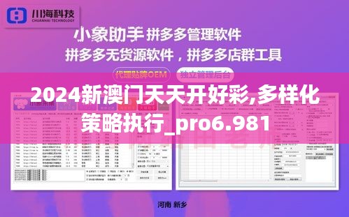 2024新澳门天天开好彩,多样化策略执行_pro6.981