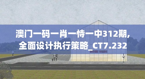 澳门一码一肖一恃一中312期,全面设计执行策略_CT7.232