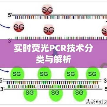 实时荧光PCR技术分类与解析