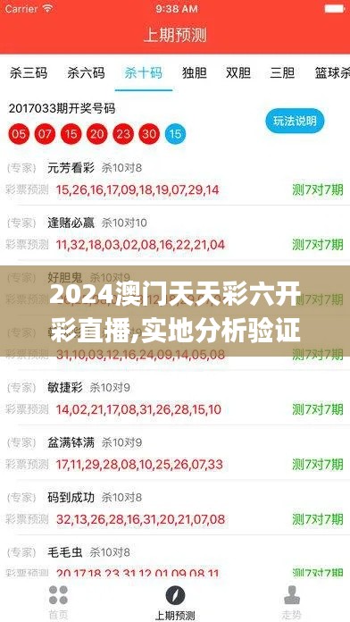 2024澳门天天彩六开彩直播,实地分析验证数据_创新版5.941