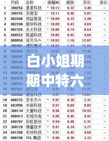 白小姐期期中特六肖免费资料,最佳精选解释定义_WP110.322