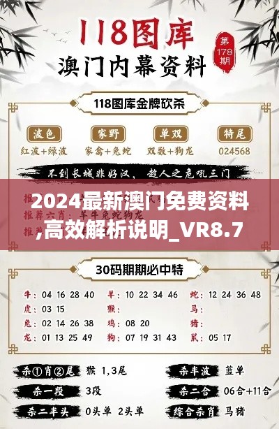 2024最新澳门免费资料,高效解析说明_VR8.725