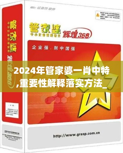 2024年管家婆一肖中特,重要性解释落实方法_eShop16.609