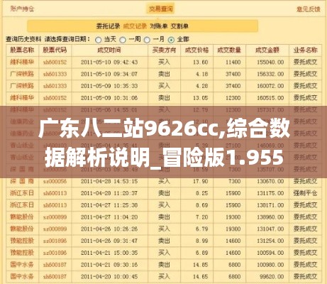 广东八二站9626cc,综合数据解析说明_冒险版1.955