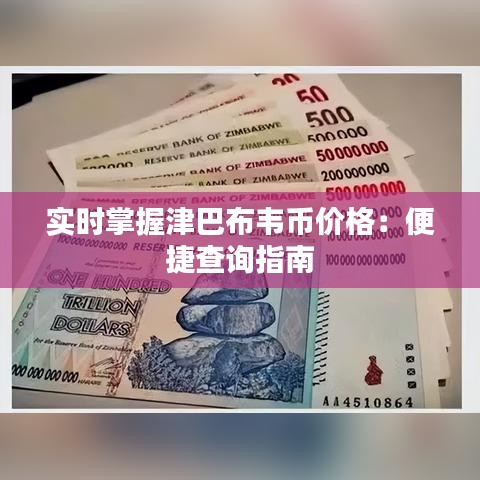 实时掌握津巴布韦币价格：便捷查询指南