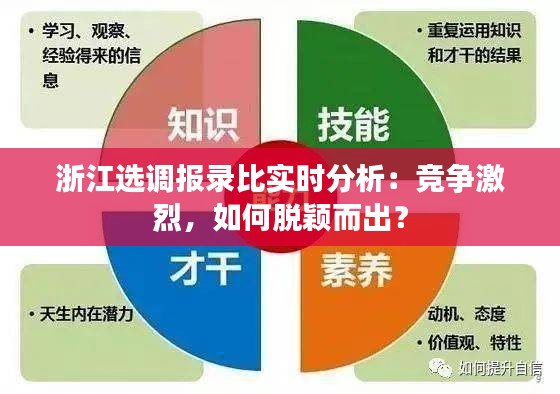 浙江选调报录比实时分析：竞争激烈，如何脱颖而出？