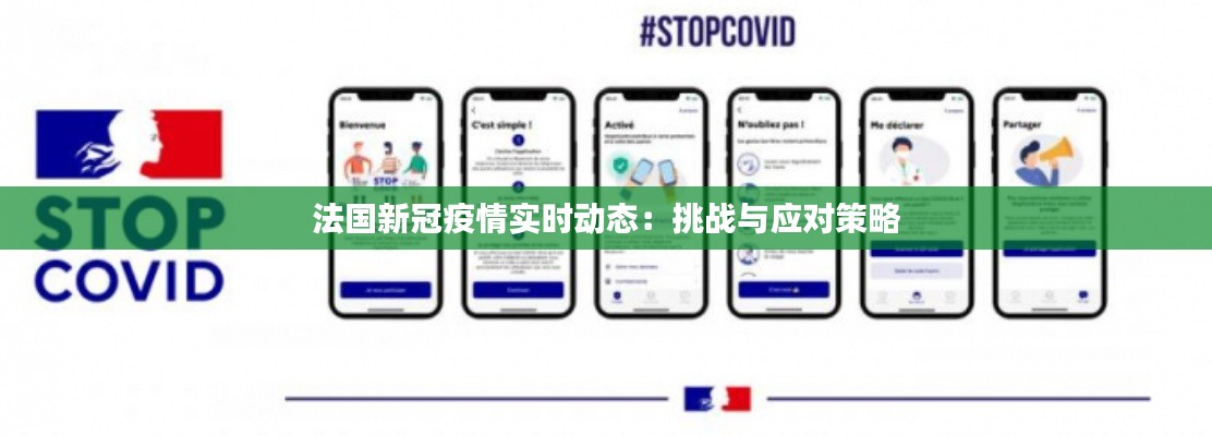 法国新冠疫情实时动态：挑战与应对策略