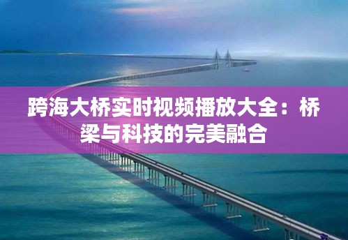 跨海大桥实时视频播放大全：桥梁与科技的完美融合