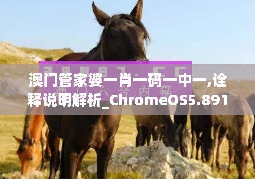 澳门管家婆一肖一码一中一,诠释说明解析_ChromeOS5.891