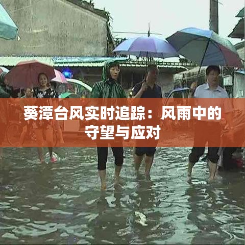 葵潭台风实时追踪：风雨中的守望与应对