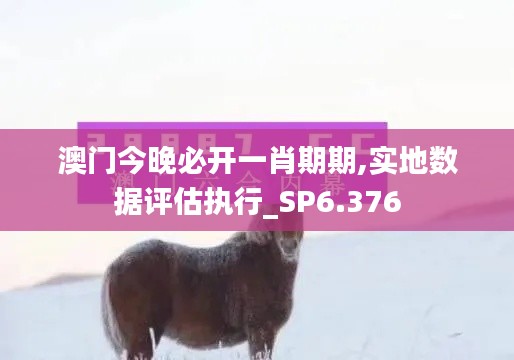 澳门今晚必开一肖期期,实地数据评估执行_SP6.376