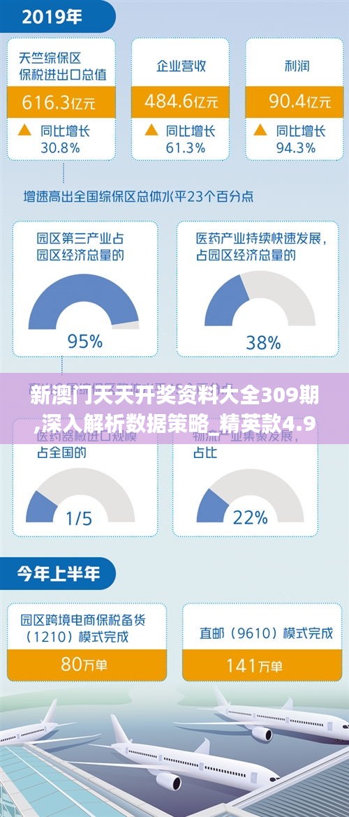 新澳门天天开奖资料大全309期,深入解析数据策略_精英款4.988