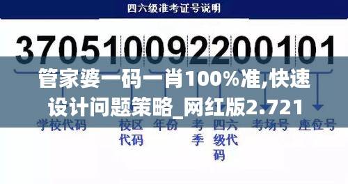 管家婆一码一肖100%准,快速设计问题策略_网红版2.721