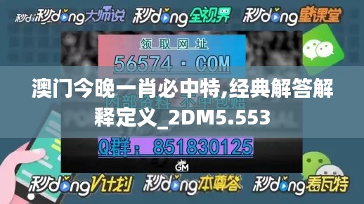 澳门今晚一肖必中特,经典解答解释定义_2DM5.553