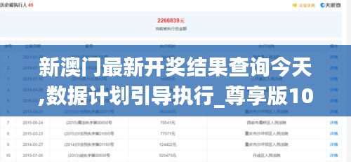 新澳门最新开奖结果查询今天,数据计划引导执行_尊享版10.566