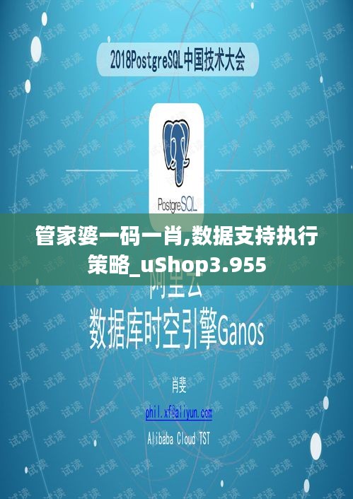 管家婆一码一肖,数据支持执行策略_uShop3.955