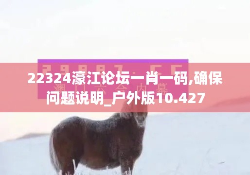 22324濠江论坛一肖一码,确保问题说明_户外版10.427