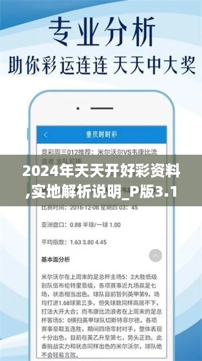 2024年天天开好彩资料,实地解析说明_P版3.133