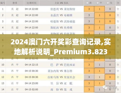 2024澳门六开奖彩查询记录,实地解析说明_Premium3.823