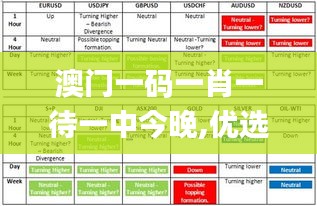 澳门一码一肖一待一中今晚,优选方案解析说明_HDR9.932