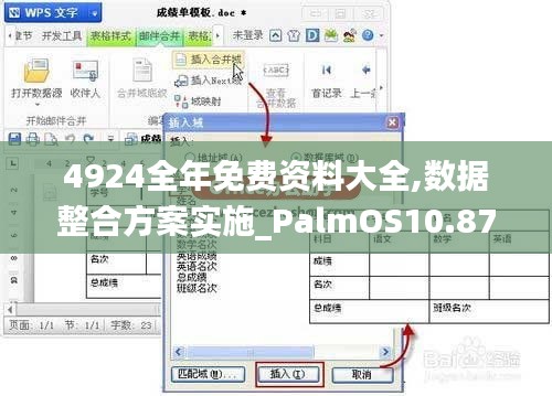 4924全年免费资料大全,数据整合方案实施_PalmOS10.871