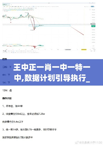 王中正一肖一中一特一中,数据计划引导执行_运动版6.658