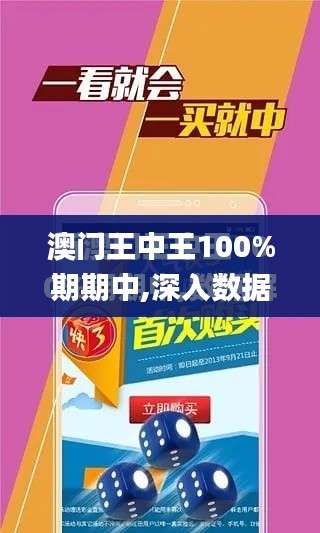 澳门王中王100%期期中,深入数据执行解析_MT8.350