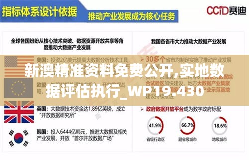 新澳精准资料免费公开,实地数据评估执行_WP19.430