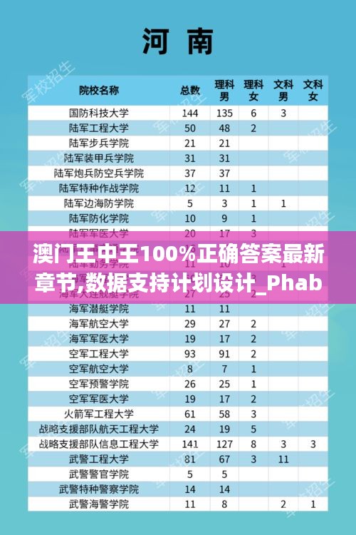 澳门王中王100%正确答案最新章节,数据支持计划设计_Phablet12.884