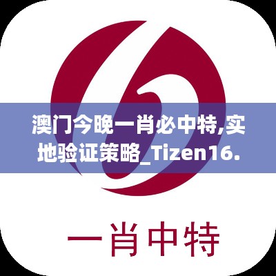 澳门今晚一肖必中特,实地验证策略_Tizen16.443