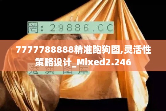 7777788888精准跑狗图,灵活性策略设计_Mixed2.246