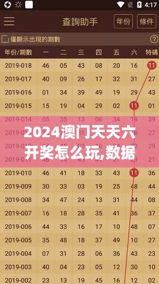 2024澳门天天六开奖怎么玩,数据计划引导执行_YE版8.648