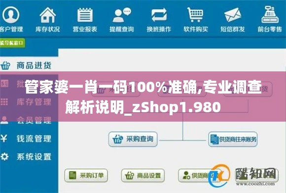 管家婆一肖一码100%准确,专业调查解析说明_zShop1.980