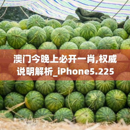 澳门今晚上必开一肖,权威说明解析_iPhone5.225