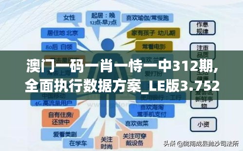 澳门一码一肖一恃一中312期,全面执行数据方案_LE版3.752