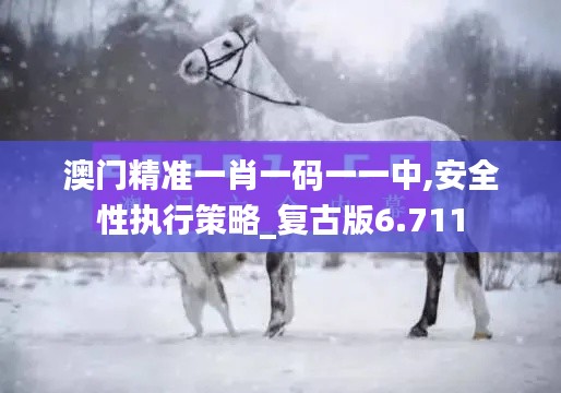 澳门精准一肖一码一一中,安全性执行策略_复古版6.711