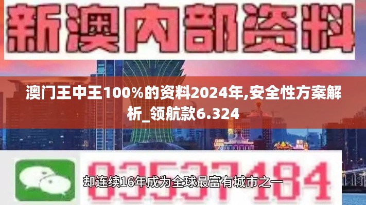 澳门王中王100%的资料2024年,安全性方案解析_领航款6.324