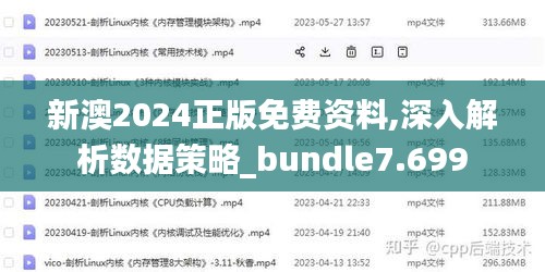 新澳2024正版免费资料,深入解析数据策略_bundle7.699