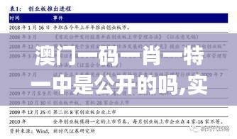 澳门一码一肖一特一中是公开的吗,实地验证分析策略_C版110.926