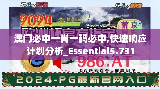 澳门必中一肖一码必中,快速响应计划分析_Essential5.731