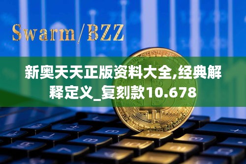 新奥天天正版资料大全,经典解释定义_复刻款10.678