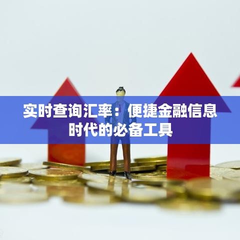 实时查询汇率：便捷金融信息时代的必备工具