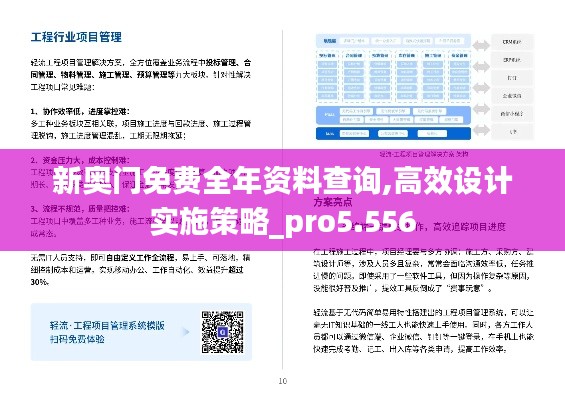 新奥门免费全年资料查询,高效设计实施策略_pro5.556